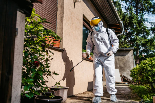 Best Pest Prevention Services  in Fairview, NY