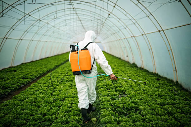 Reliable Fairview, NY Pest Control Solutions