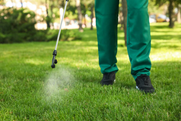 Best Residential Pest Control  in Fairview, NY