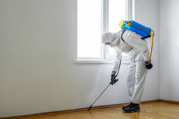 Best Best Pest Control Companies  in Fairview, NY