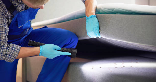 Best Local Pest Control Services  in Fairview, NY