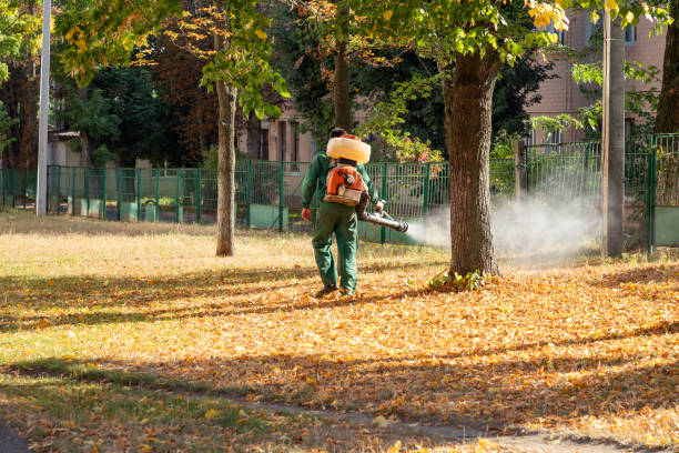 Best Affordable Pest Control Services  in Fairview, NY