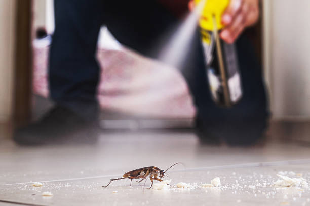 Wildlife Control Services in Fairview, NY