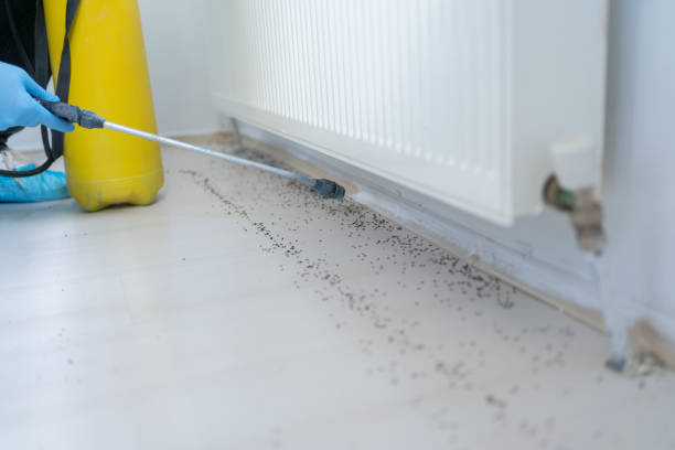 Best Mosquito Control Services  in Fairview, NY